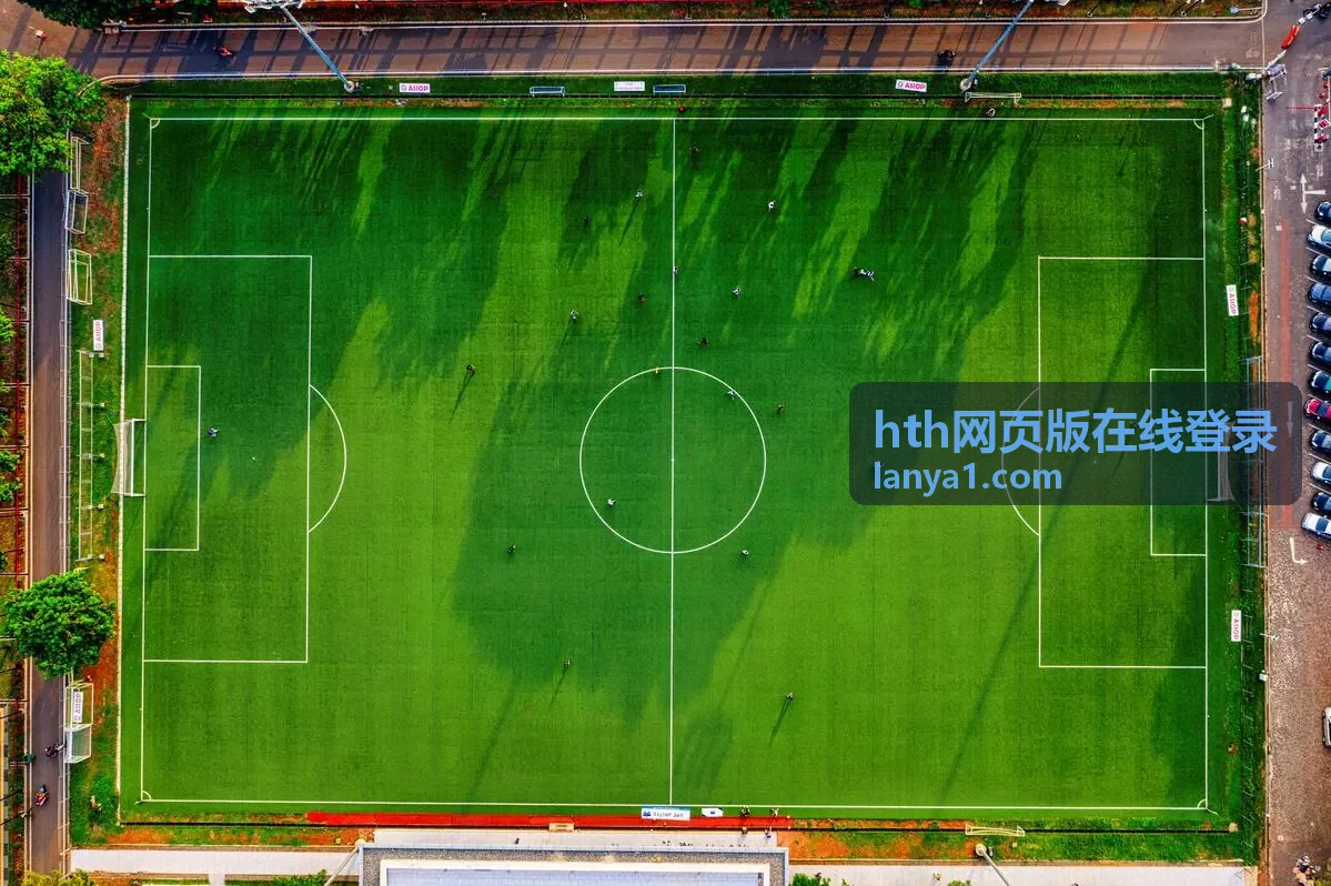 hth网页版在线登录登录环境与权限核对的操作示意